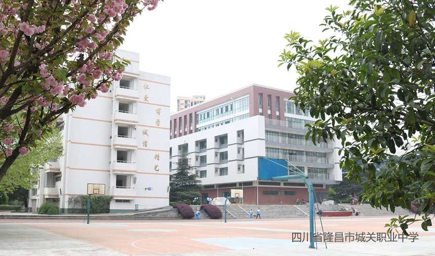 四川省隆昌市城关职业中学2024年招生简章