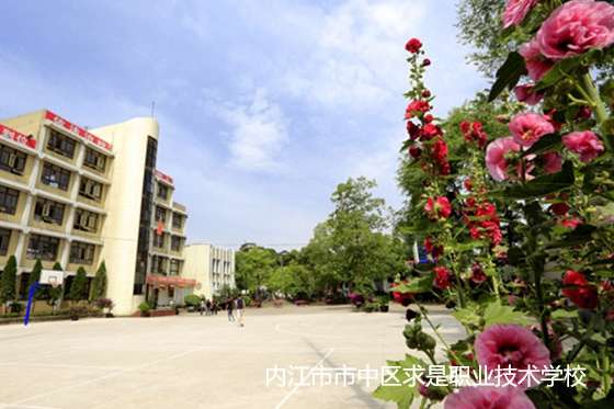 内江市市中区求是职业技术雷竞技官网竞猜
2024年招生简章