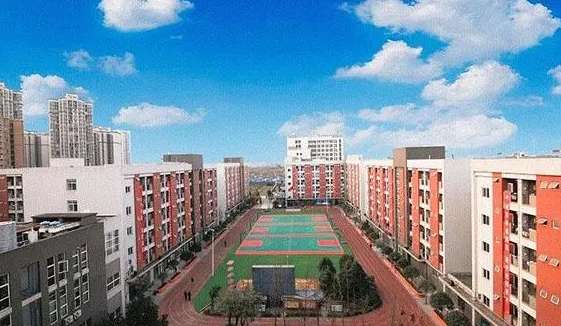 成都新华高级技工雷竞技官网竞猜
2024年招生简章