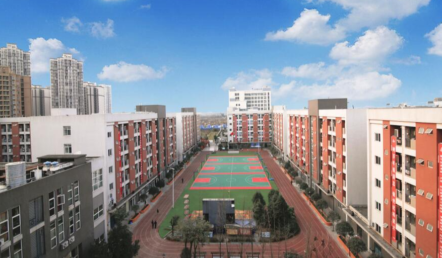 �׾�����������