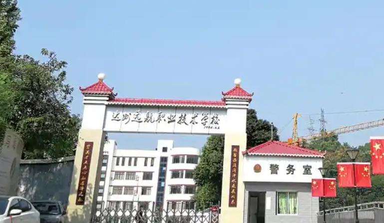 ����Զ��ְҵ�����׾�����������2025����������